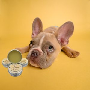 Dog Paw Balm